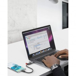 No hay imagen establecida 