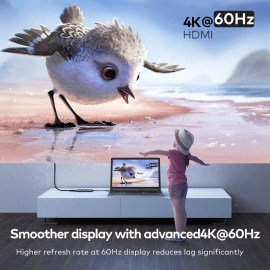 No hay imagen establecida 