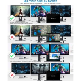 No hay imagen establecida 